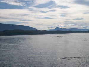 Calm morning waters on the Johnstone Strait